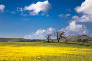 Spring Day along Hwy 1 Spring Day along Hwy 1